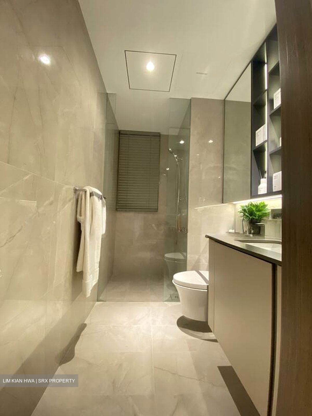 Thomson View Condominium (D20), Condominium #495821161